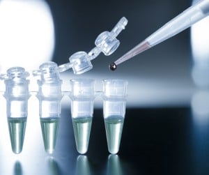 teeth nerve stem cells